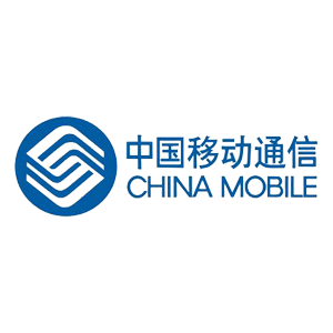 合作伙伴五