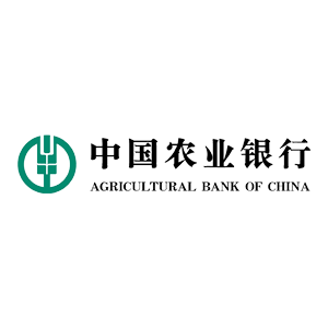 合作伙伴七